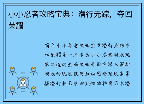 小小忍者攻略宝典：潜行无踪，夺回荣耀